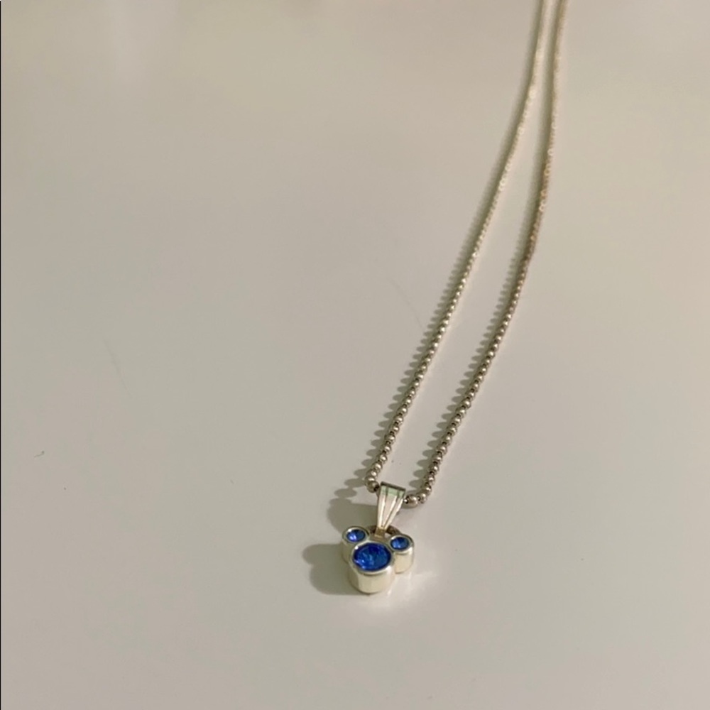 silver and blue disneyland charm necklace